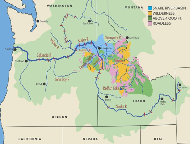 Map: Salmon strongholds in the Pacific Northwest are primarily in the state of Idaho and its expansive wilderness areas.