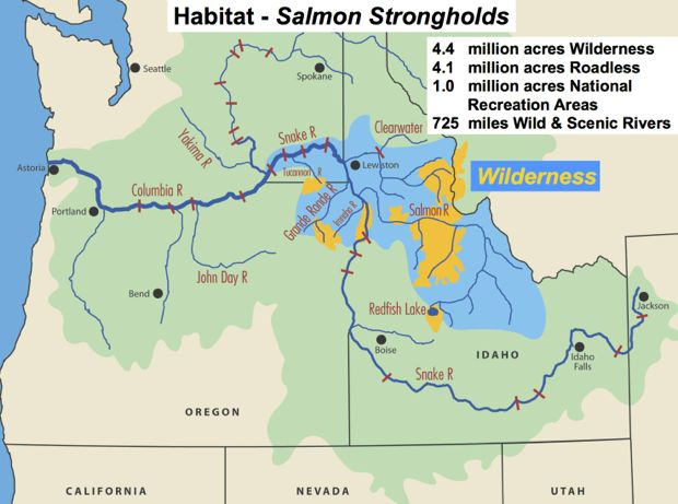 Map: Salmon strongholds in the Pacific Northwest are primarily in the state of Idaho and its expansive wilderness areas.