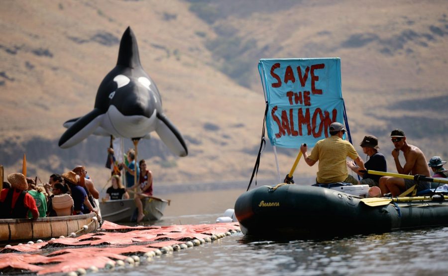Protesters paddle the Snake River while participating in the 