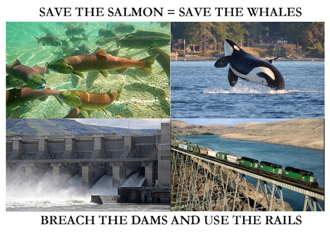 It isn't rocket science - we know we can do this and it will work. AND... it rhymes.  (Salmon / Orca / Dam Spillway / Rail exists along the Snake River)