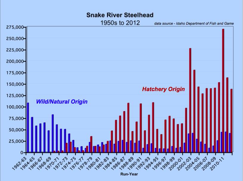 Graphic: Snake River returns of Steelhead 1950s to 2012. (data source: Idaho Fish & Game