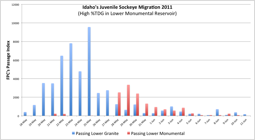 Idaho's Juvenile Sockeye 2011 migration through Lower Snake River.