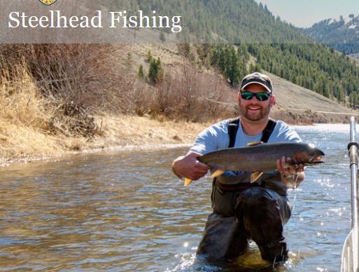 Spring Steelhead fishing.