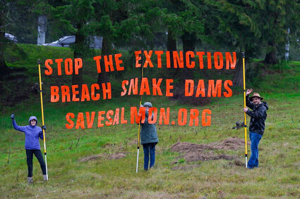 Concerned citizens hold a sign asking to 'Stop the Extinction Breach Snake Dams' (Shea Sullivan/Shea Sullivan Photography)