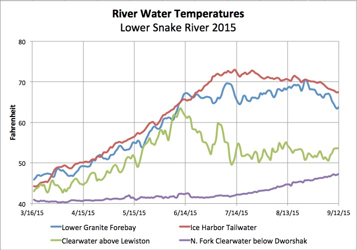 Graphic: Lower Snake River water temperature in 2015 upstream of Lewiston, at Lower Granite forebay and Ice Harbor tailrace.  Source data: US Army Corps of Engineers Dataquery 2.0