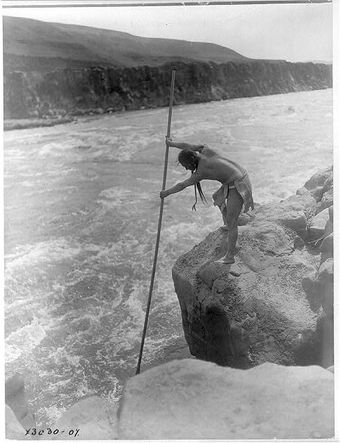 Tlakluit Indian, standing on rock, fishing with dip net. (Edward Curtis c. 1910)