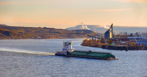 Captain Jim Fletcher guides the Snake River towboat Granite Point down the Snake River near Clarkston, Wash. The Granite Point is delivering 3,600 tons of soft white wheat downriver, likely for export to Asia. (Mike Siegel / The Seattle Times).