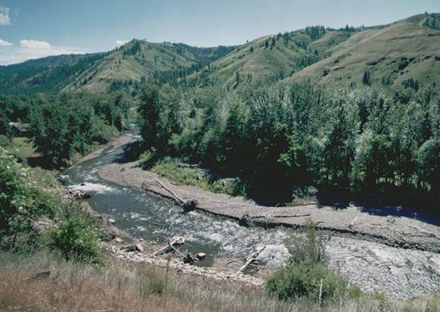 The Tucannon River, flowing out of the Blue Mountains near Dayton, Wash., supports a range of fisheries at adjacent lakes. (Associated Press photo)