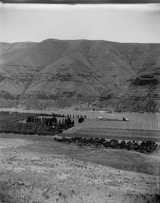 3rd Section of Wawawai Ranch, Wawawai Wash., 1897 (William D. Barkhuff Image Collection
4th Section Bishop Bros Ranch, Wawawai Wash., 1897)
