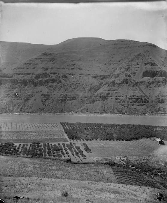4th Section of Wawawai Ranch 1897, Wawawai Wash., 1897 (William D. Barkhuff Image Collection
4th Section Bishop Bros Ranch, Wawawai Wash., 1897)