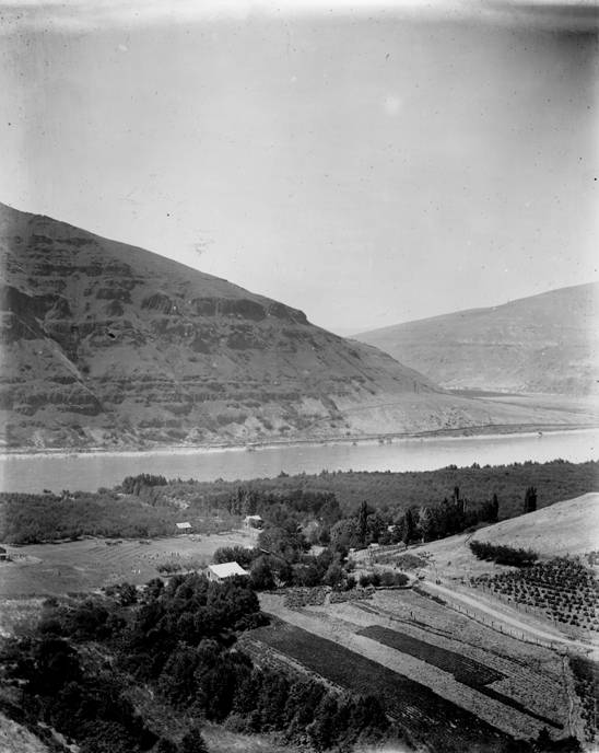 5th Section of Wawawai Ranch 1897, Wawawai Wash., 1897 (William D. Barkhuff Image Collection
4th Section Bishop Bros Ranch, Wawawai Wash., 1897)