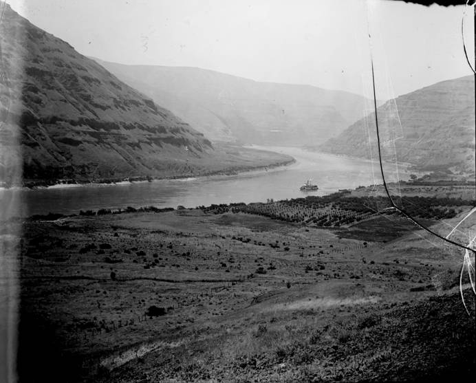 4th Section Bishop Bros Ranch, Wawawai Wash., 1897 (William D. Barkhuff Image Collection
4th Section Bishop Bros Ranch, Wawawai Wash., 1897)