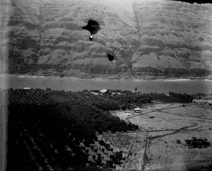 3rd Section Bishop Bros Ranch, Wawawai Wash., 1897 (William D. Barkhuff Image Collection
4th Section Bishop Bros Ranch, Wawawai Wash., 1897)