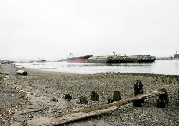 Ships at the Port of Portland seen in this view of the Columbia River from West Hayden Island. The Port of Portland planned to allow for development of a new grain export terminal on the property but recently shelved the project after the city required expensive modifications.