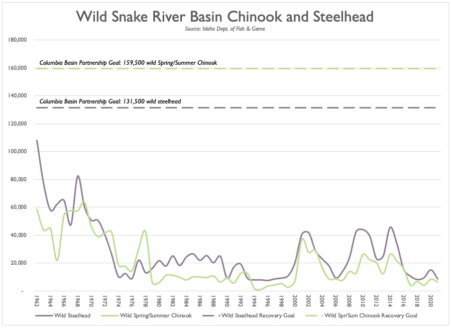 Graphic: Wild Chinook and Steelhead runs to the Lower Snake River as counted at the highest dam in place at the time. (1961-2021)