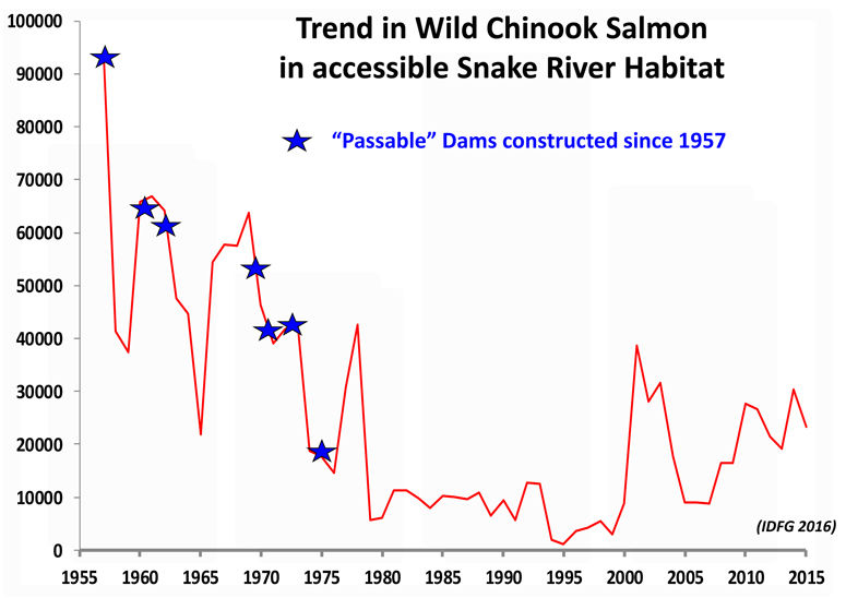 Trend in Wild Chinook Salmon in accessible Snake River habitat and 