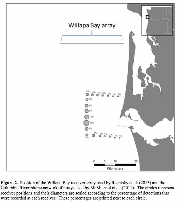 Map Graphic: Detections of migrating salmon at two detection arrays: Willapa Bay and Columbia River plume.