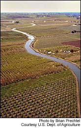 Aerial view of apple and pear orchards near Yakima, Washington.