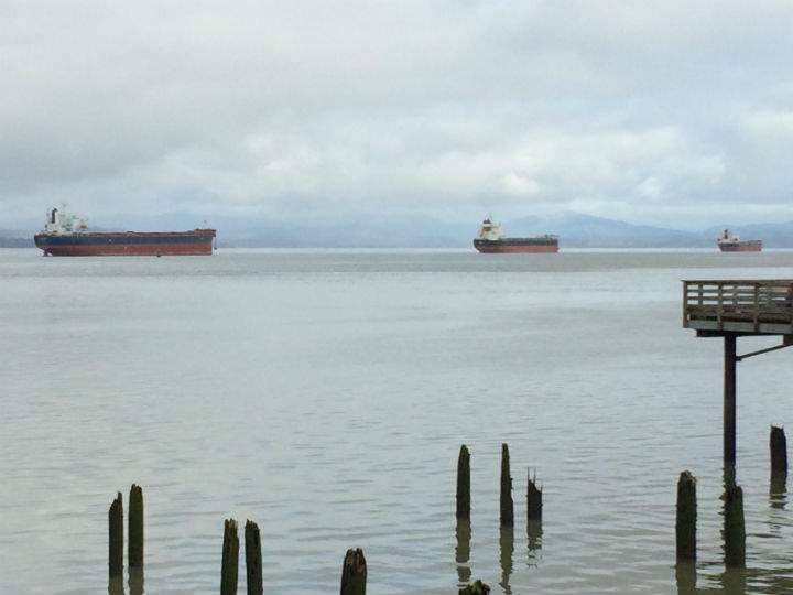 Ships that were bound for Portland are instead anchored up near Astoria while they wait for the port closure to pass.