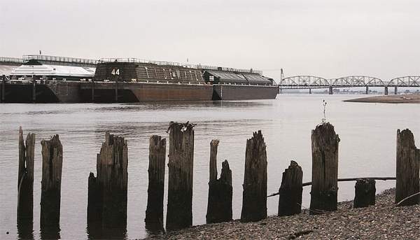 (Mateusz Perkowski) Barges owned by Tidewater Barge Lines are moored on the Columbia River near Hayden Island in Portland, Ore. A federal judge has cited the longshoremen's union for picketing the barges after she had ordered its members to stop.