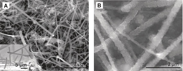 Photos taken by a scanning electron microscope of silicon nanowires before (left) and after (right) absorbing lithium. Both photos were taken at the same magnification. The work is described in 