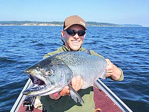 Chinook salmon of any size -- and far less a big one like pictured -- are few and far between in Washington waters this year. (WDFW photo)