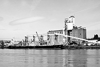 The ship Global Dream is loaded with grain bound for Japan at the Port of Portland. A deeper channel in the Columbia River will allow ports to load larger ships, but a bigger Panama Canal may make even larger ships feasible. Experts say much larger bulk ships are unlikely to gain popularity at many ports because they would require larger berths and equipment.