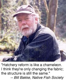 'Hatchery reform is like a chameleon. I think they're only changing the fabric; the structure is still the same.' - Bill Bakke, Native Fish Society