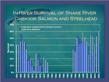 In-River Survival of Snake River Chinook Salmon