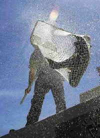Idaho Fish and Game's Gene McPherson prepares to hand off a couple of chinook salmon for release in the Boise River near Boise State University on Wednesday.  About 200 hatchery chinook were planted in the river.
