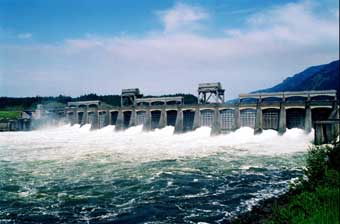 (AP Photo)Columbia River waters flow through spillway of the Bonneville Dam in 1995.