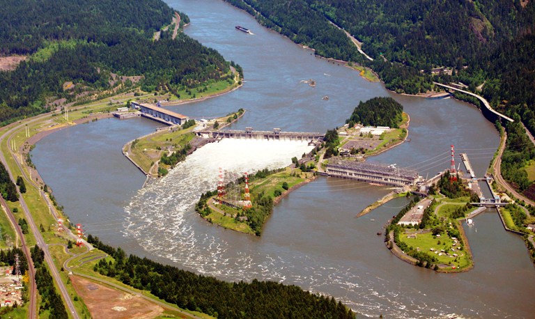 Bonneville dam is the most downstream dam on the Columbia River