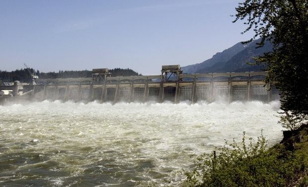 Court-ordered spills -- water flowing over the dams, rather than running it through turbines -- and Mother Nature are the two main factors in this year's big returns of fall chinook and sockeye.