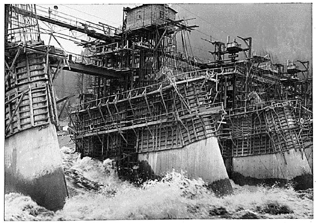 Figure 4. Dams are one of many causes of the decline of wild salmon runs in the Pacific Northwest, but Columbia River runs were much reduced prior to the construction of the first main-stem dam. (courtesy Franklin D. Roosevelt Library)