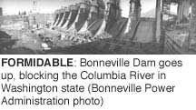 Formidable: Bonneville Dam goes up, blocking the Columbia River in Washington state (BPA photo)