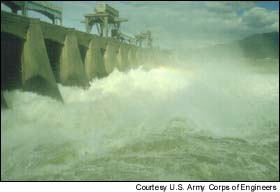 Dams alter and block the natural flow of rivers, interfering with fish migration, often destroy native fish populations.