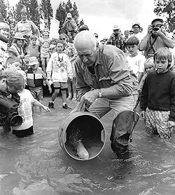 Former Idaho Gov. and Jimmy Carter administration Interior Secretary Cecil Andrus releases a hatchery-reared sockeye salmon at Redfish Lake in the early 1990s. (1994 Idaho Mountain Express - Willy Cook)