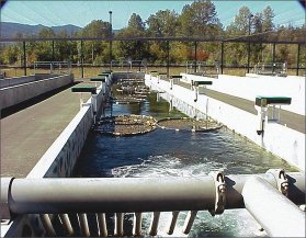 (photo by Dave Fast) Cle Elum salmon supplementation and research facility.