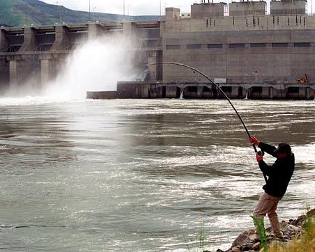 A fisherman hauls in a catch below Lower Granite Dam on the Snake River near Clarkston, Wash., in this April 1999 file (Darin Oswald) photo.