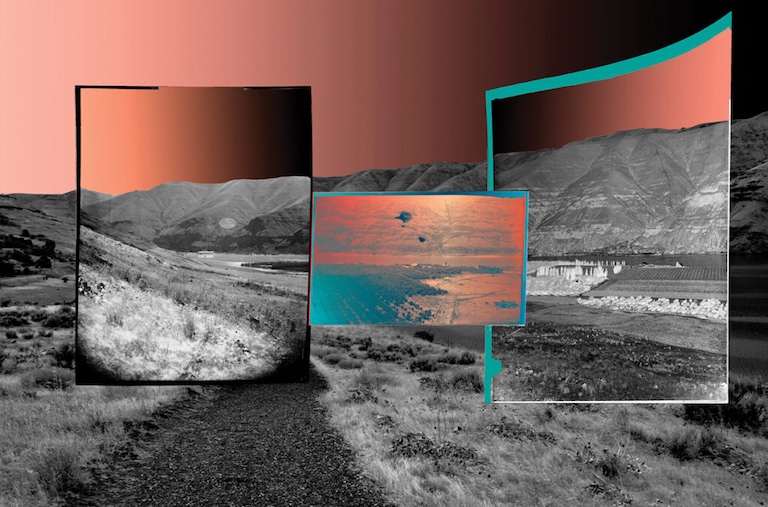 Color Me Salmon, Pigment Print, 22