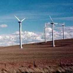 The Condon wind project