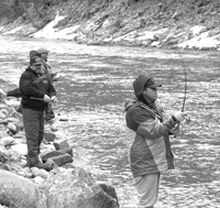 (Mountain Express) Steelhead anglers crowd along the banks of the main stem of the Salmon River near Stanley. Official fish counts conducted by the Army Corps of Engineers suggest Idaho could be in for a good steelhead season this spring.