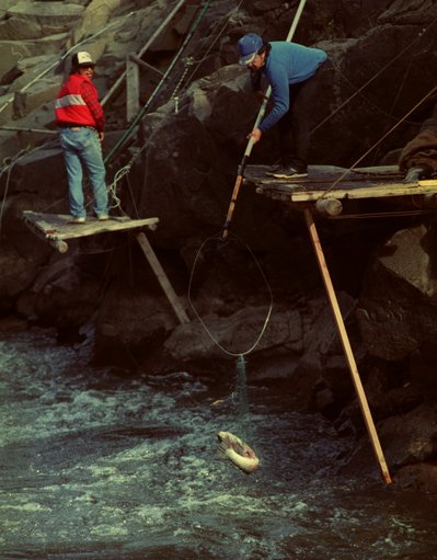 (Mark Harrison and Tom Reese) Traditional tribal fishing from platform.