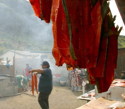 (Mark Harrison and Tom Reese) Traditional tribal drying of fish in the wind.
