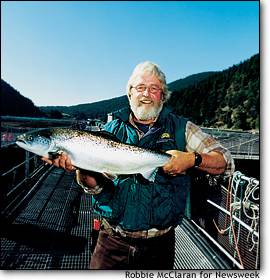 (Robbie McLaren) Assistant site manager Lorenzo Wiese-Hansen holds up a farmed fish from the Cypress Island Salmon Farm