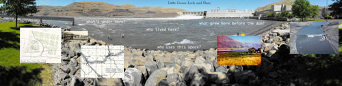 Little Goose Dam, current. Illustration by Stephen Ulman, courtesy WSU.