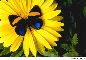 Pulling the plug on energy use may be the most obvious way to demonstrate concern for the environment.