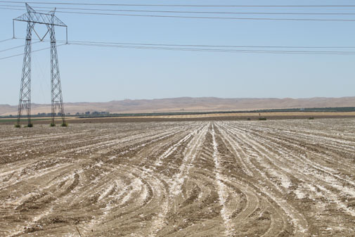 Electric lines cross unused agricultural land. (Solar Home & Business Journal photo)