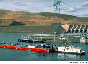 (ACOE) Salmon are barged from locks at Little Goose Dam in Washington.