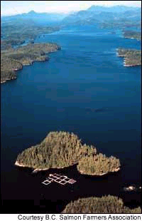 Fish farm in B.C. coastal waters.